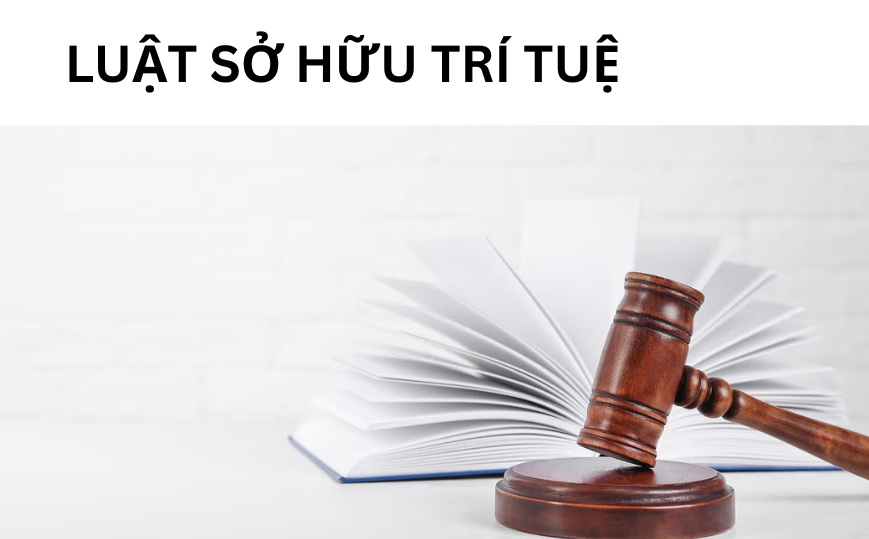 Chính sách của Chính phủ về luật Sở hữu trí tuệ theo Công điện số 38/CD-TTg